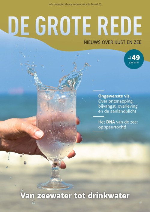 De Grote Rede 49